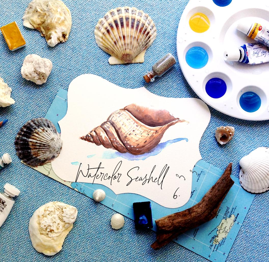 Watercolor Seashell {Sample Project} - image 2 - student project