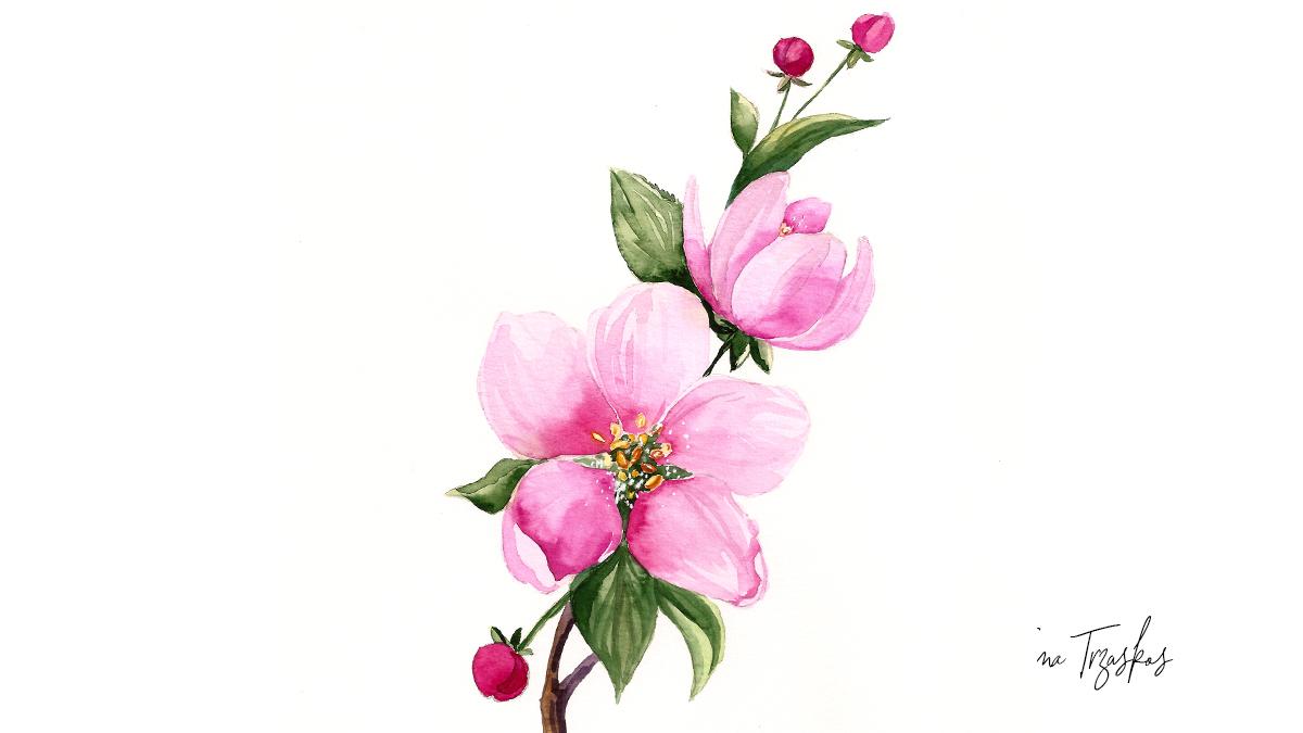 Watercolor Spring Blossoms {Sample Project} - image 2 - student project