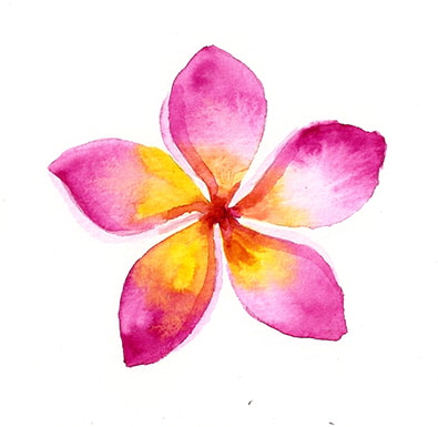 Tropical Flowers Sample Project - image 5 - student project