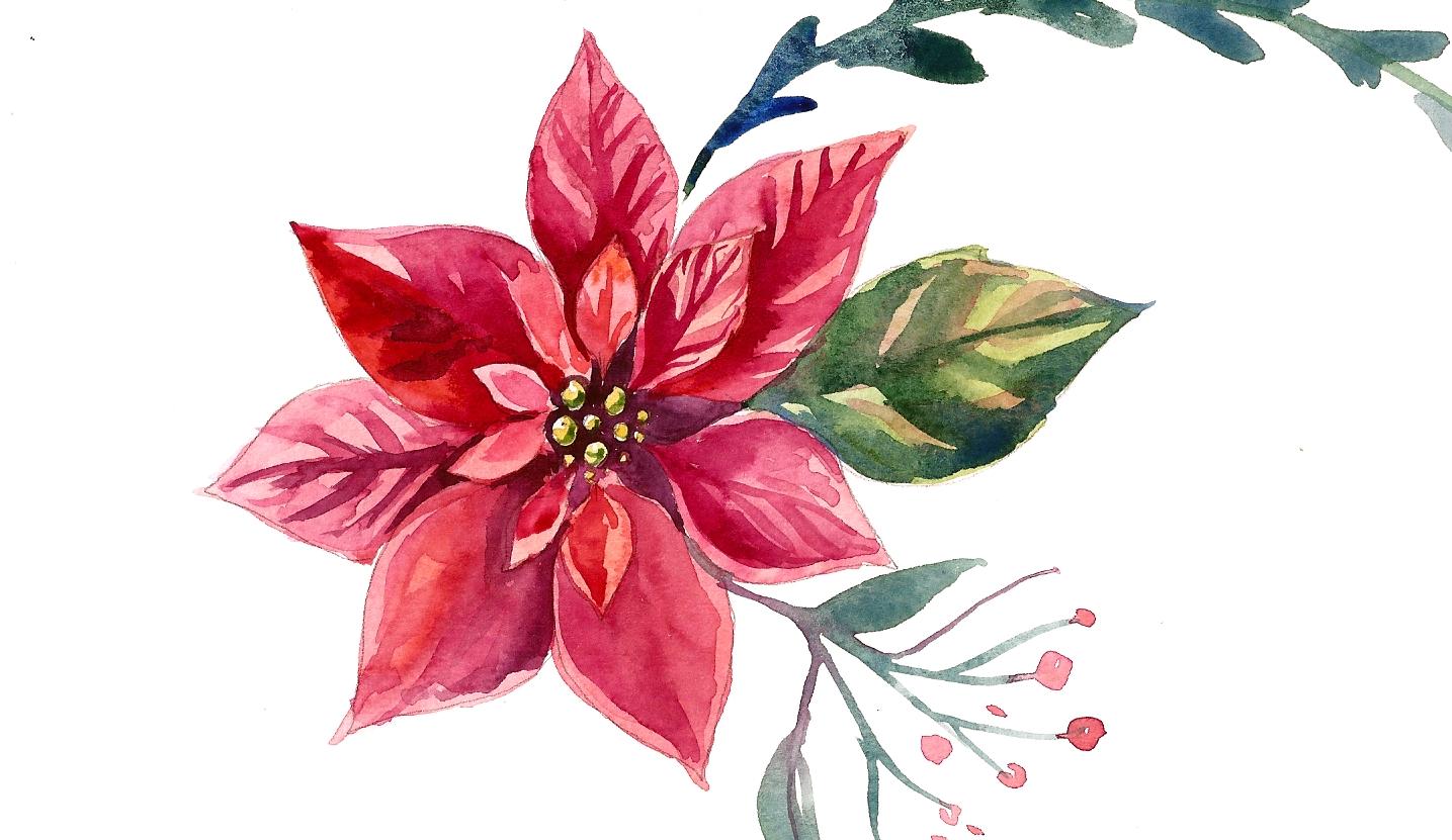 Watercolor Poinsettia Sample project - image 3 - student project