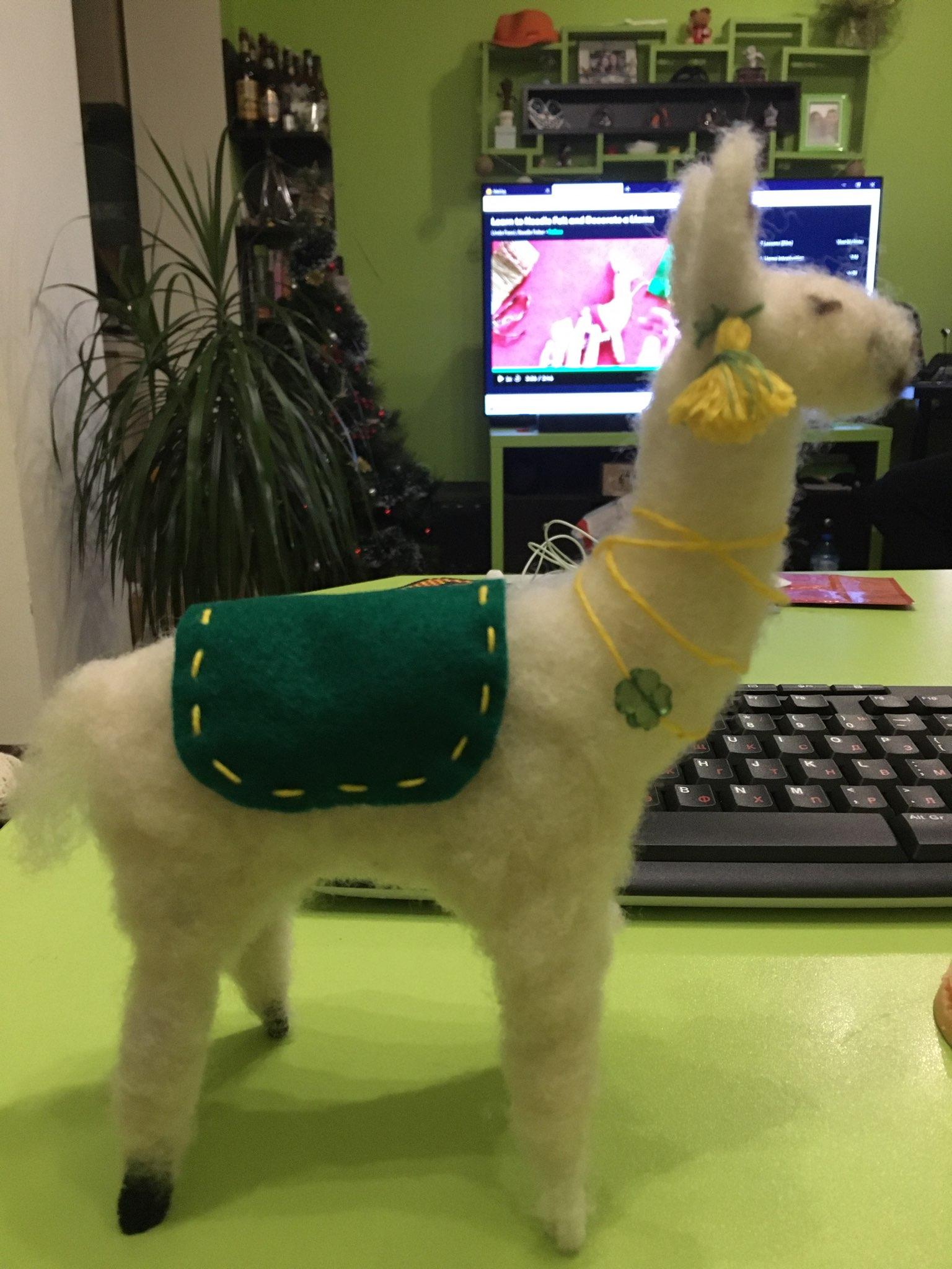 Llama - image 1 - student project