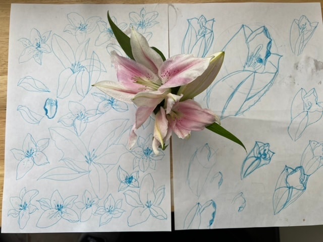 Learning to draw - image 1 - student project