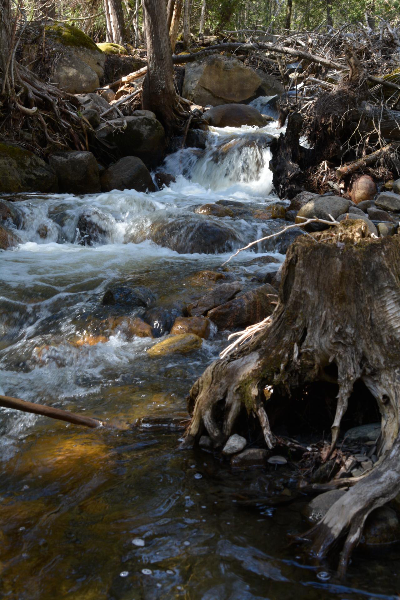 Testing Manual Mode - image 2 - student project