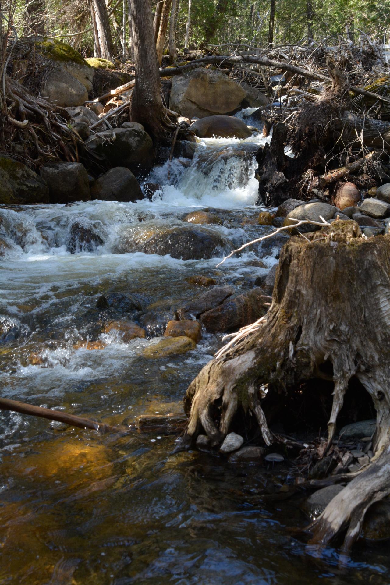 Testing Manual Mode - image 3 - student project