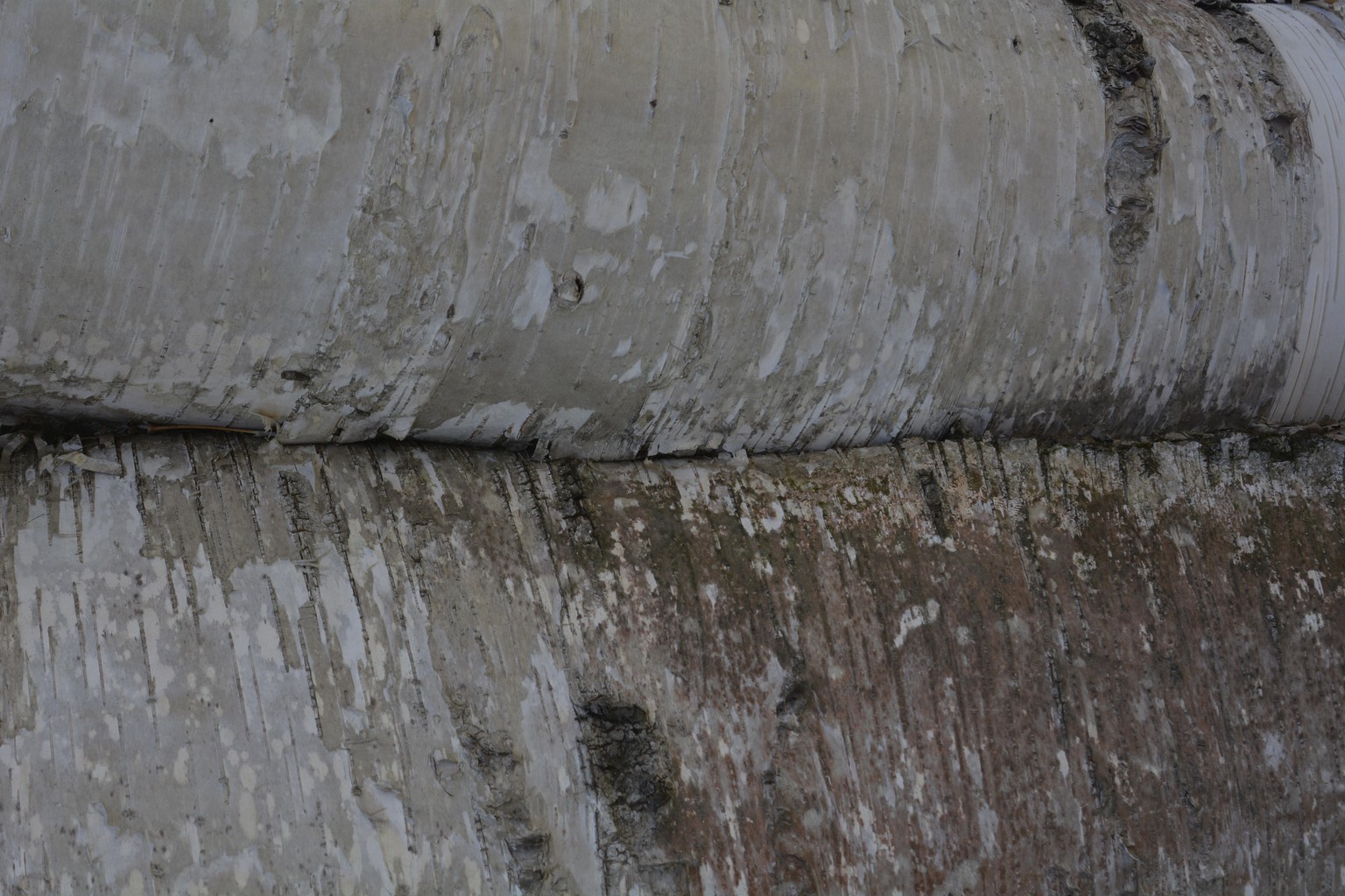 Testing Manual Mode - image 4 - student project