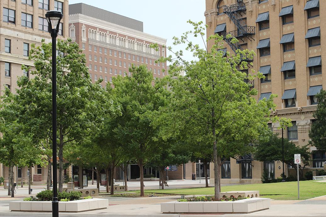 Downtown just got less foggy...thanks to Helen and the histogram! - image 1 - student project