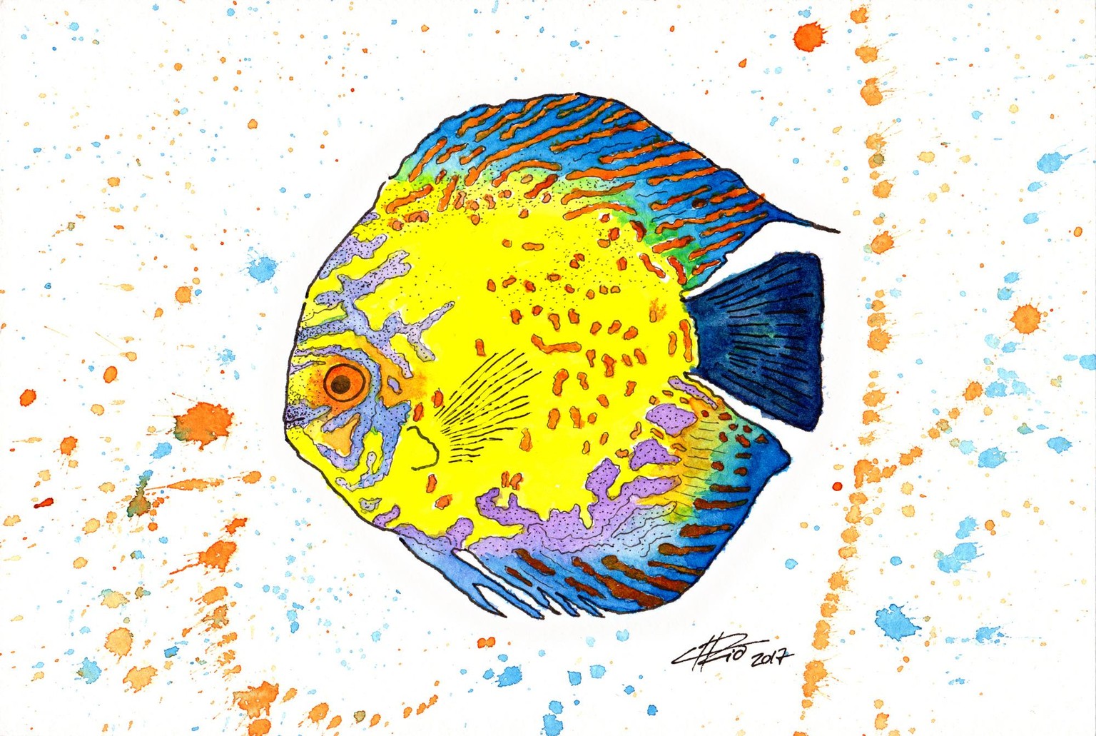 Tropical Fish - image 2 - student project