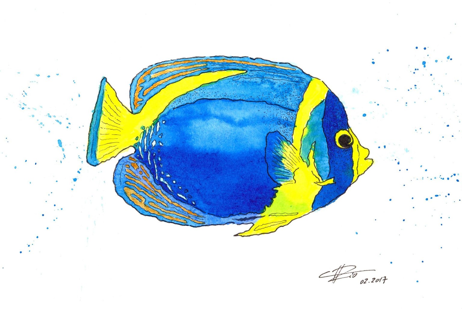 Tropical Fish - image 1 - student project