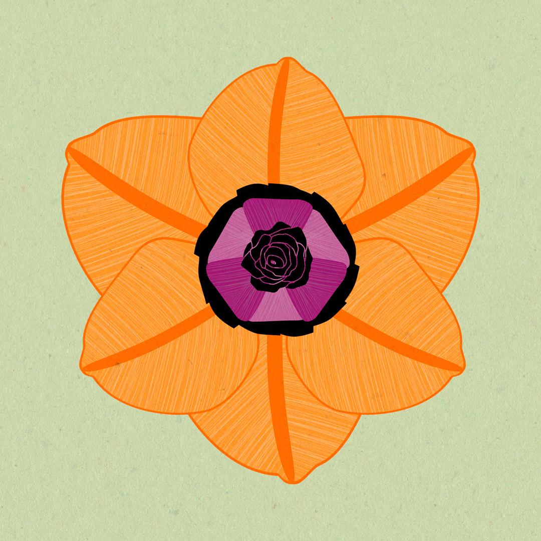 Mi querido proyecto final - image 4 - student project