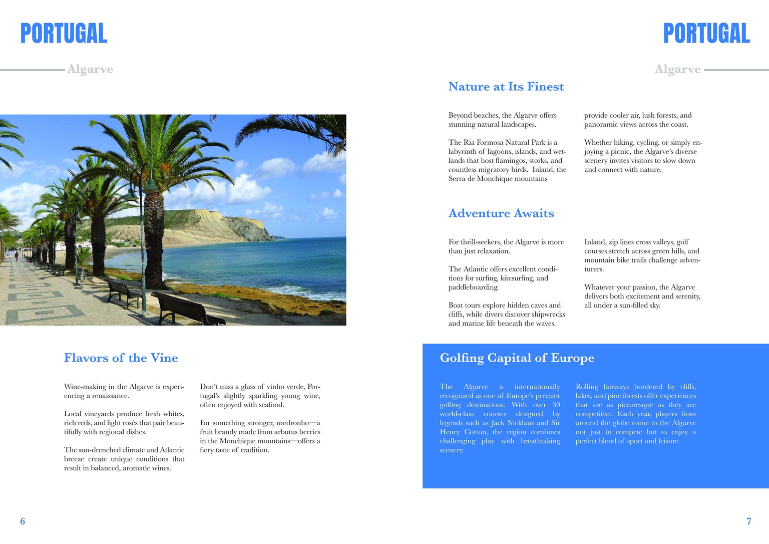 Brochure Desing in Affinity Publisher - image 4 - student project