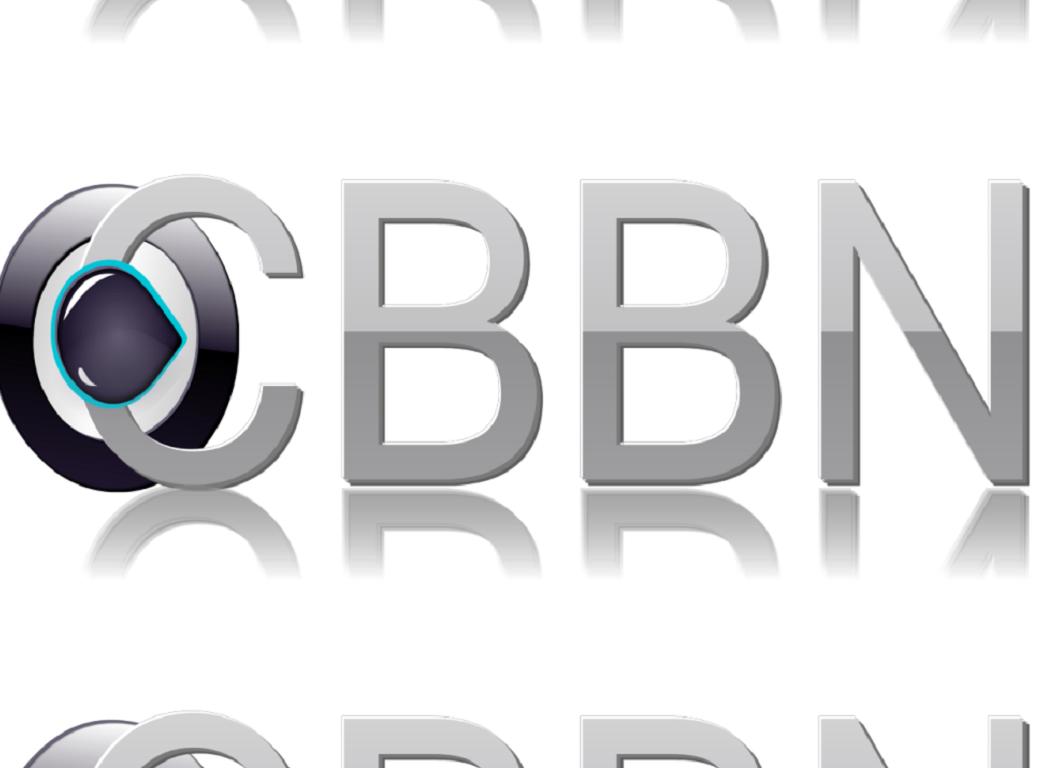 Chicago’s Black Business Network (CBBN)  Announces Its 2021 Writing Competition. - image 1 - student project