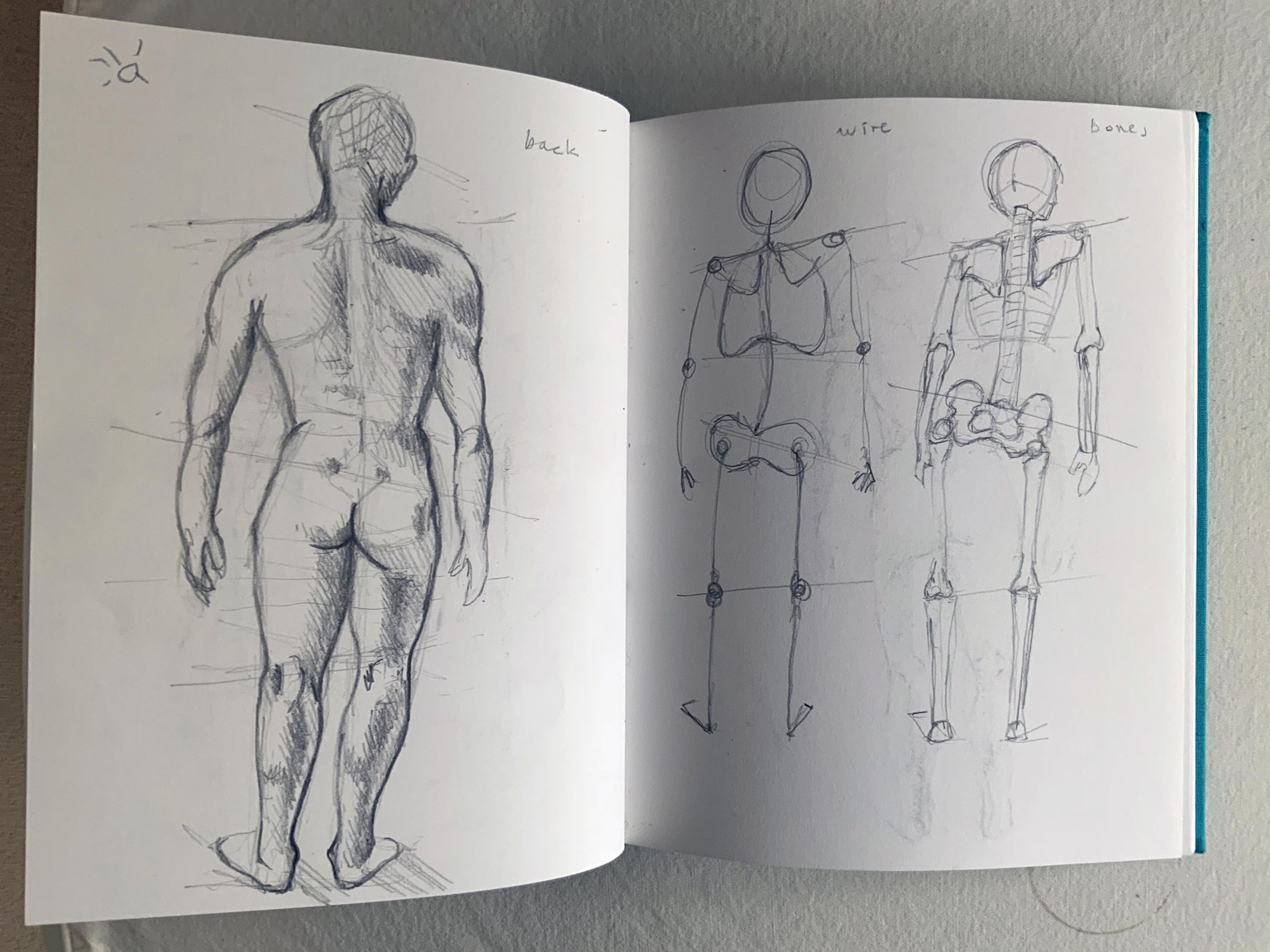 Sketches: 3 exercises- human anatomy - image 1 - student project
