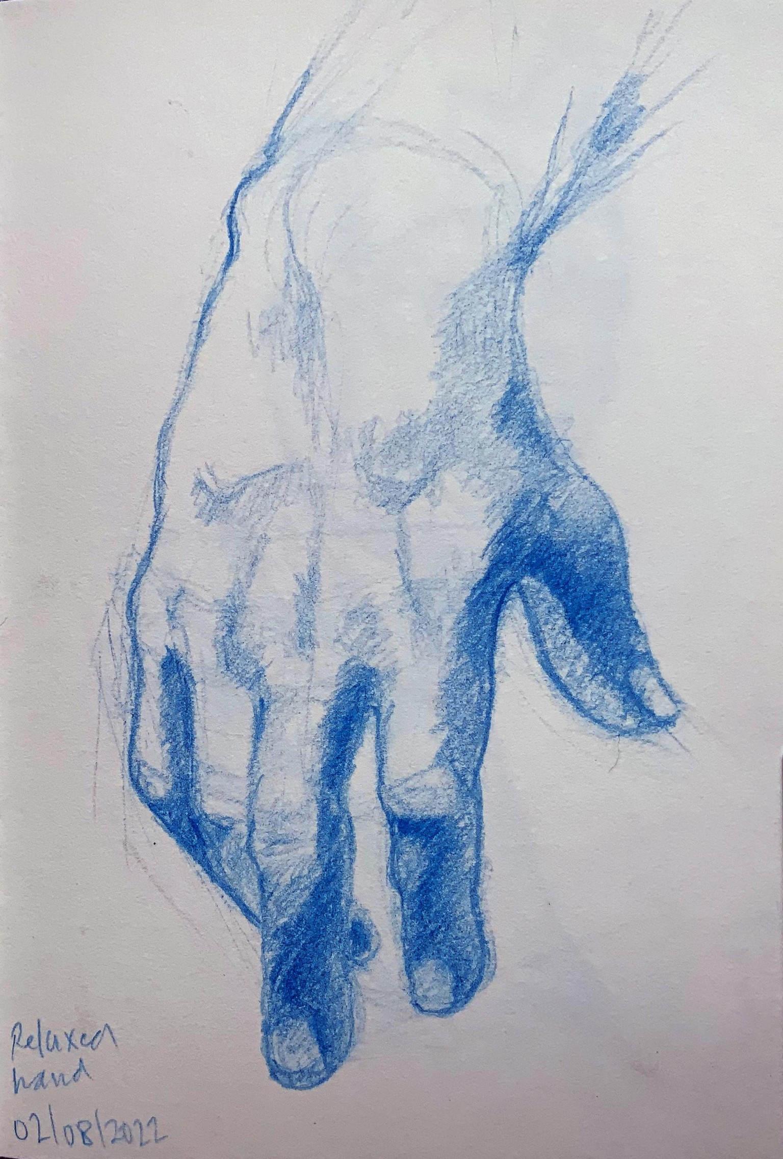 Hand exercises - image 1 - student project