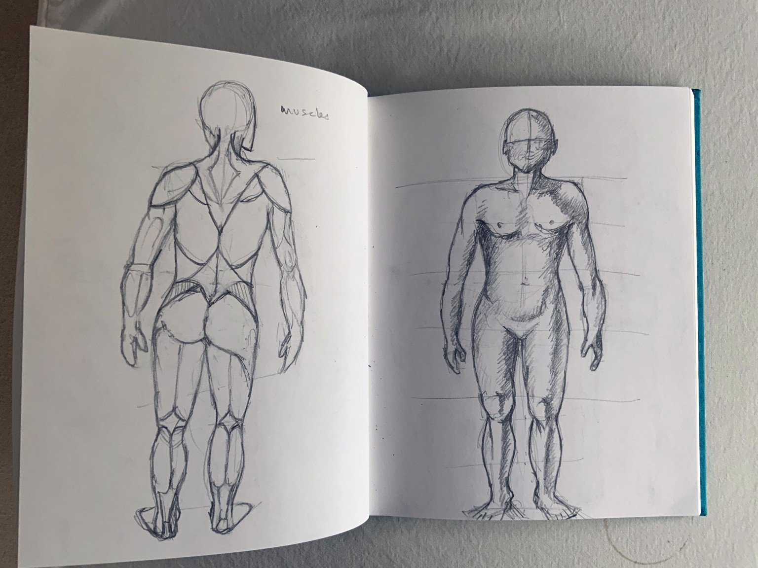 Sketches: 3 exercises- human anatomy - image 2 - student project
