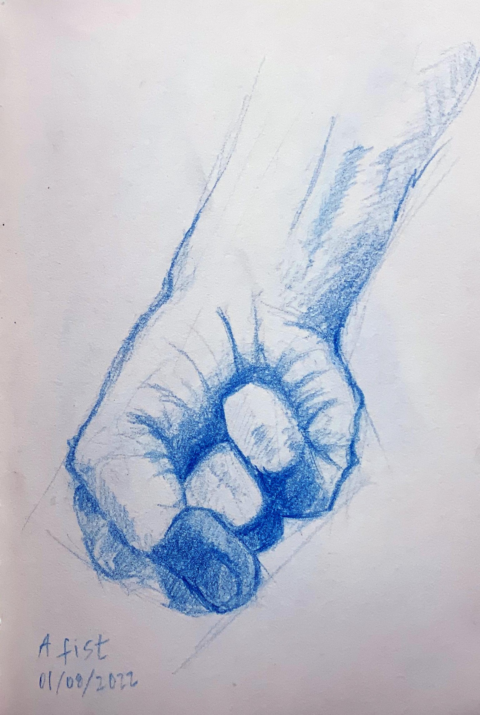 Hand exercises - image 2 - student project