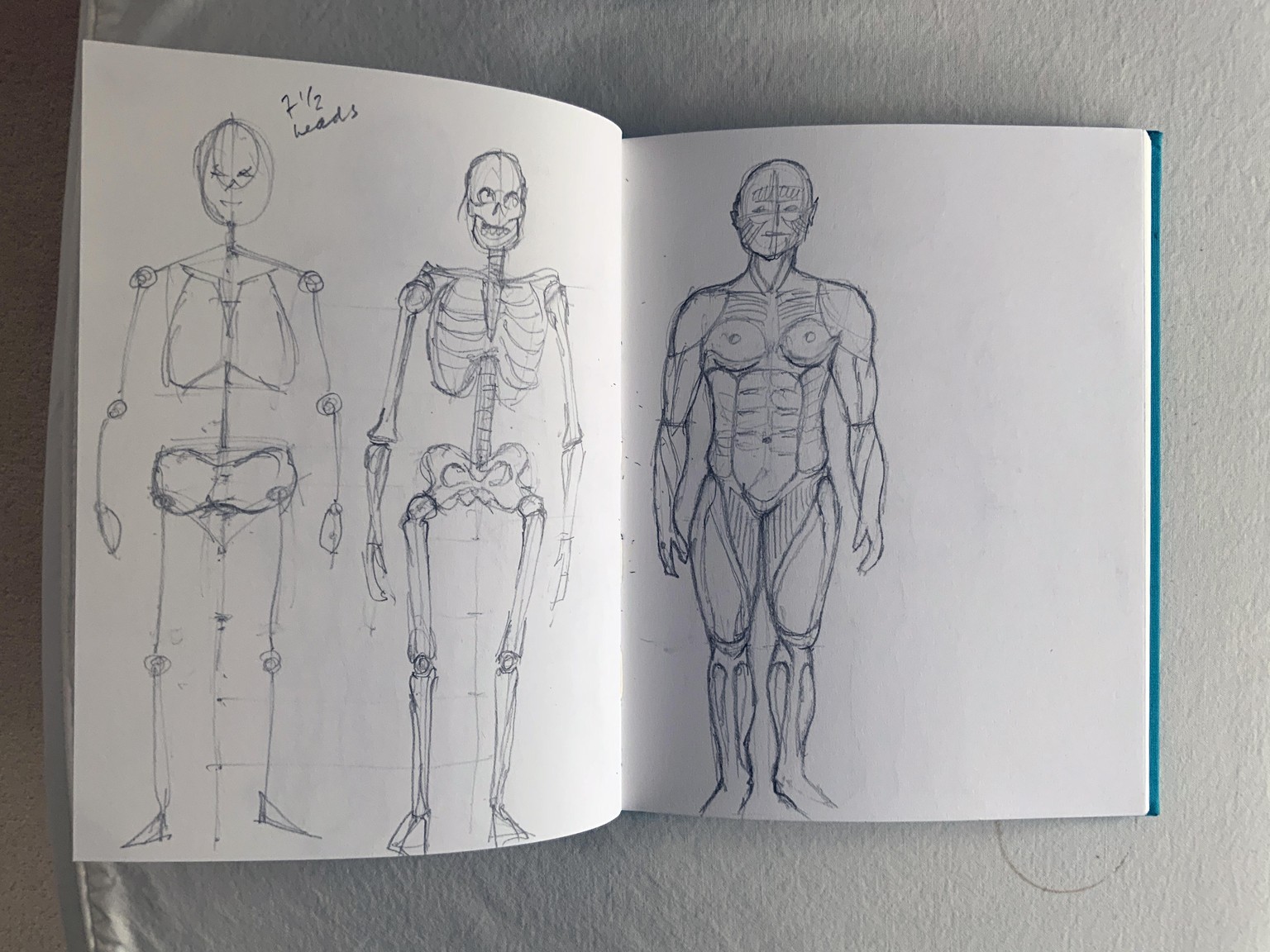 Sketches: 3 exercises- human anatomy - image 3 - student project