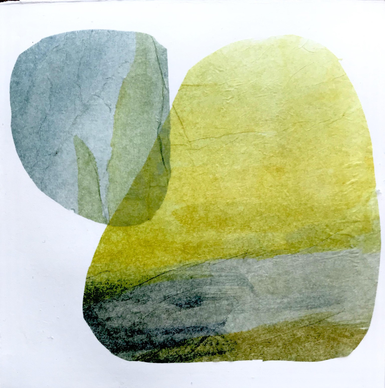 collage - image 1 - student project