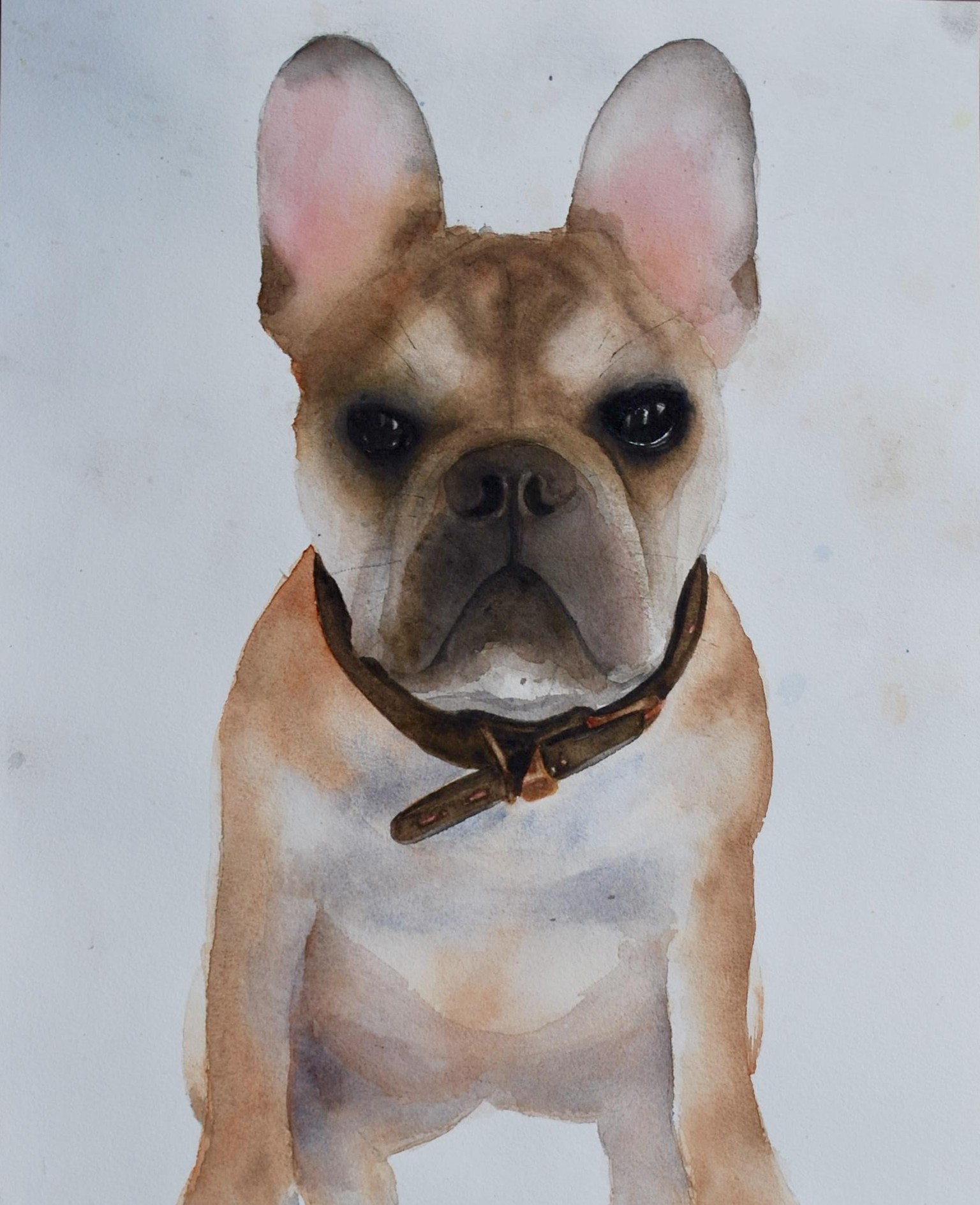 Watercolour Artist - image 4 - student project