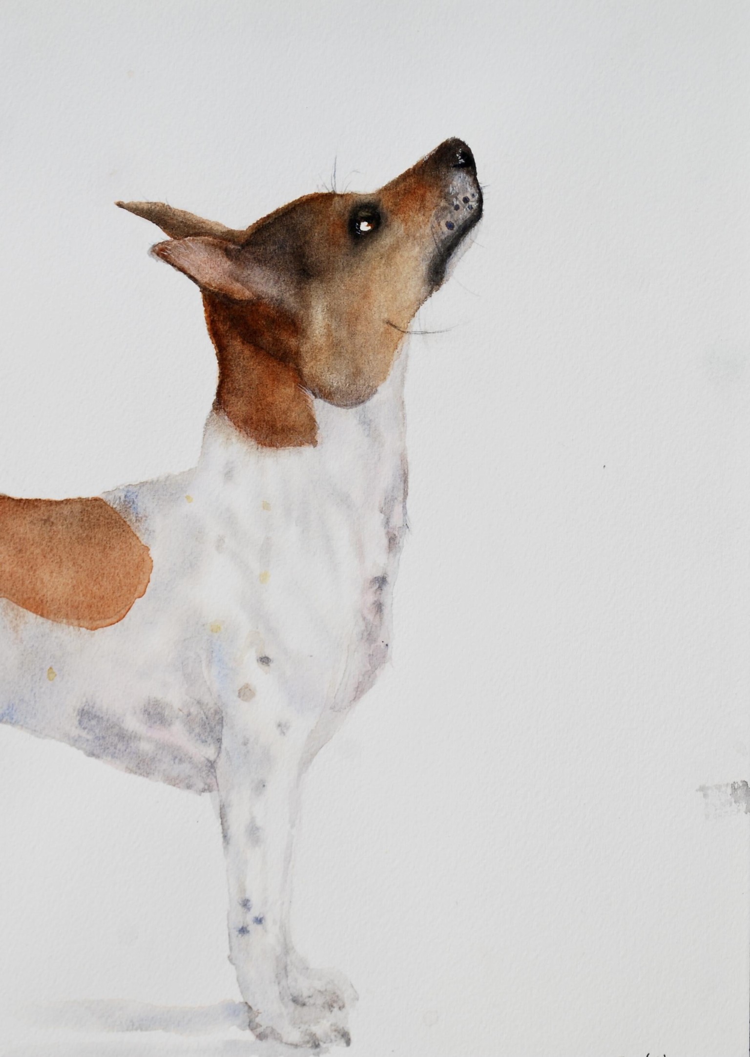 Watercolour Artist - image 1 - student project