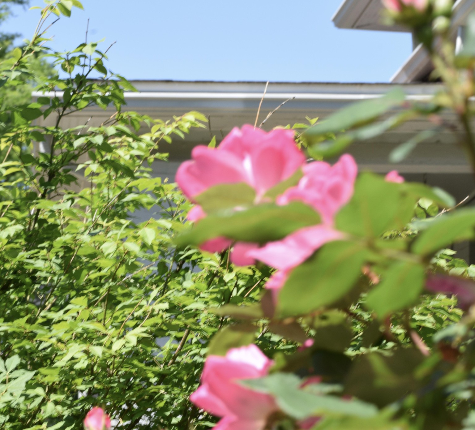 Aperture Exercise - image 1 - student project