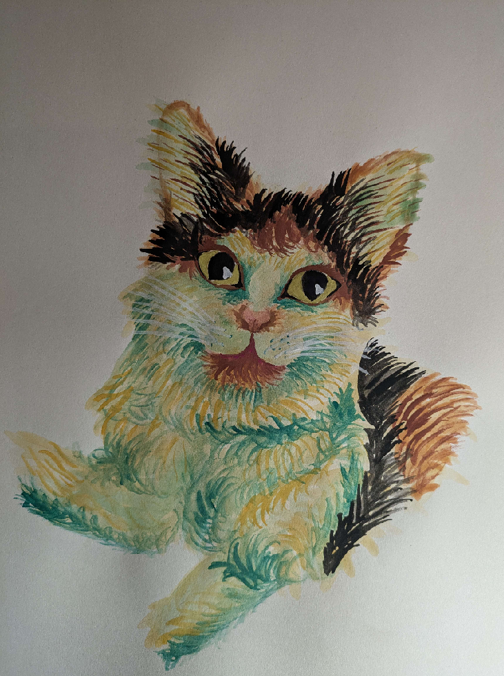 first cat - image 2 - student project