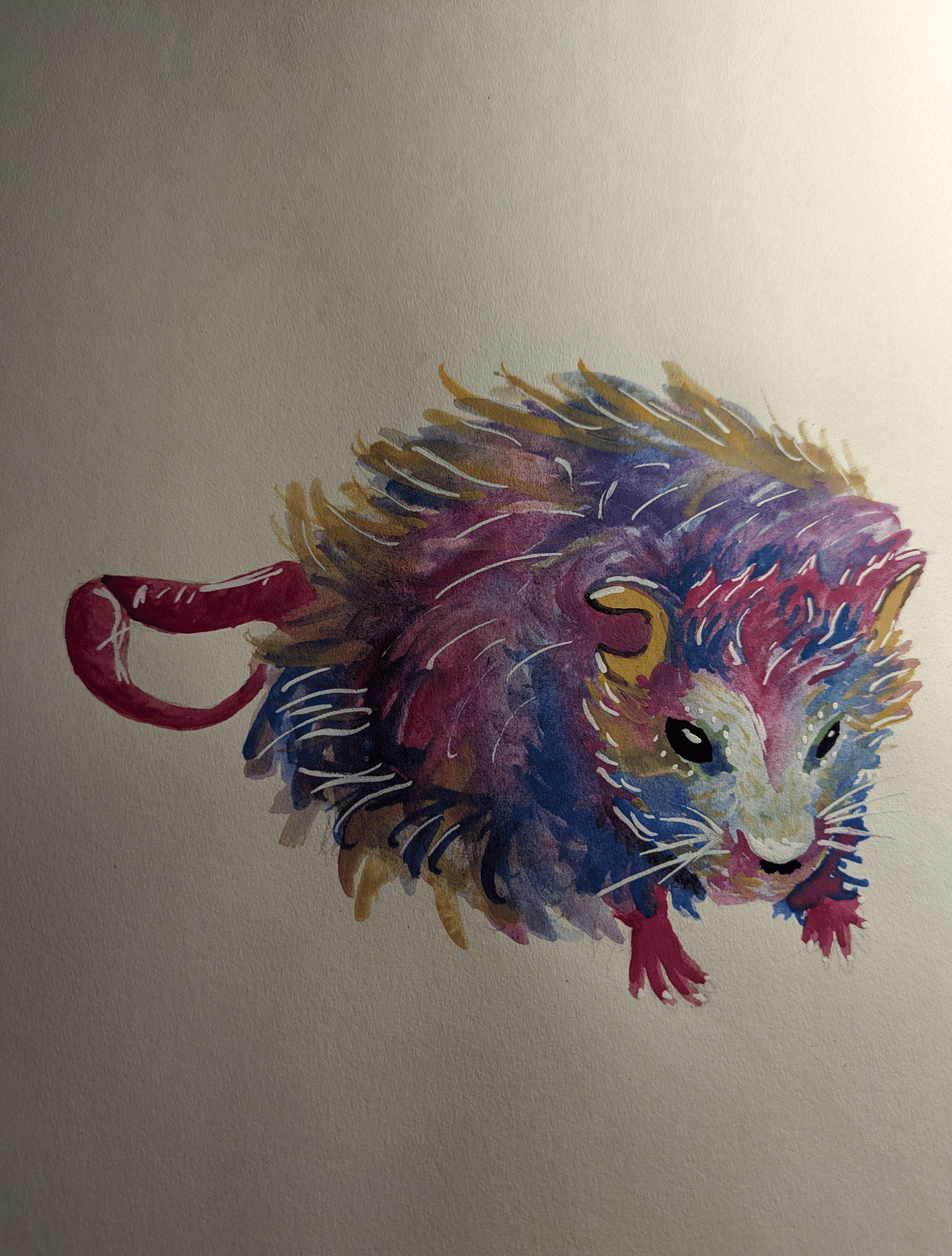 first cat - image 1 - student project