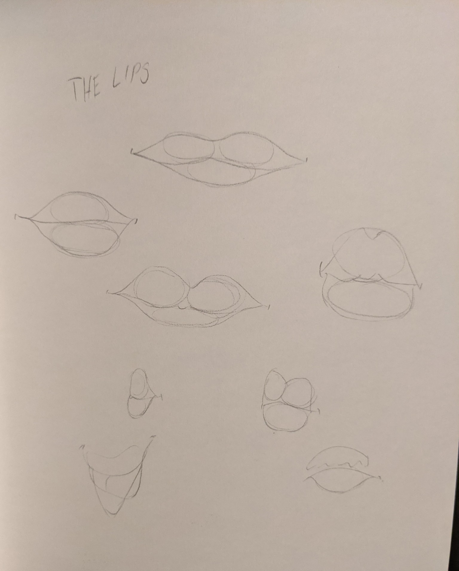 Draw Exaggerated Faces with Style - image 3 - student project