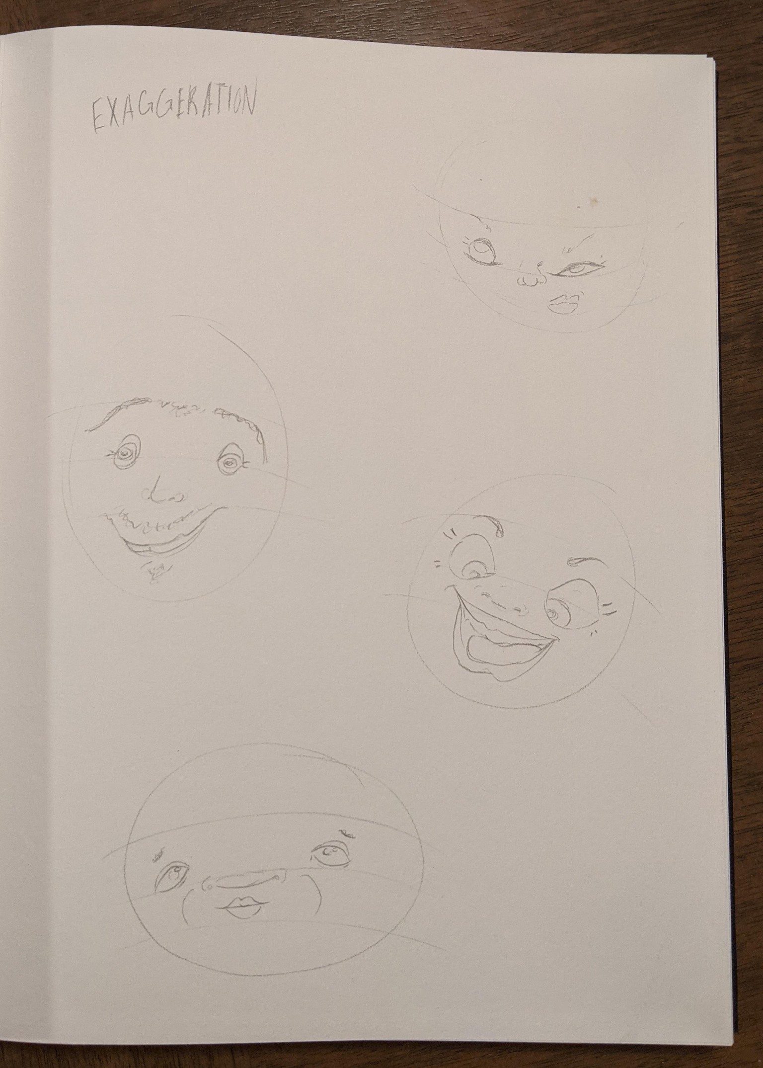 Draw Exaggerated Faces with Style - image 5 - student project
