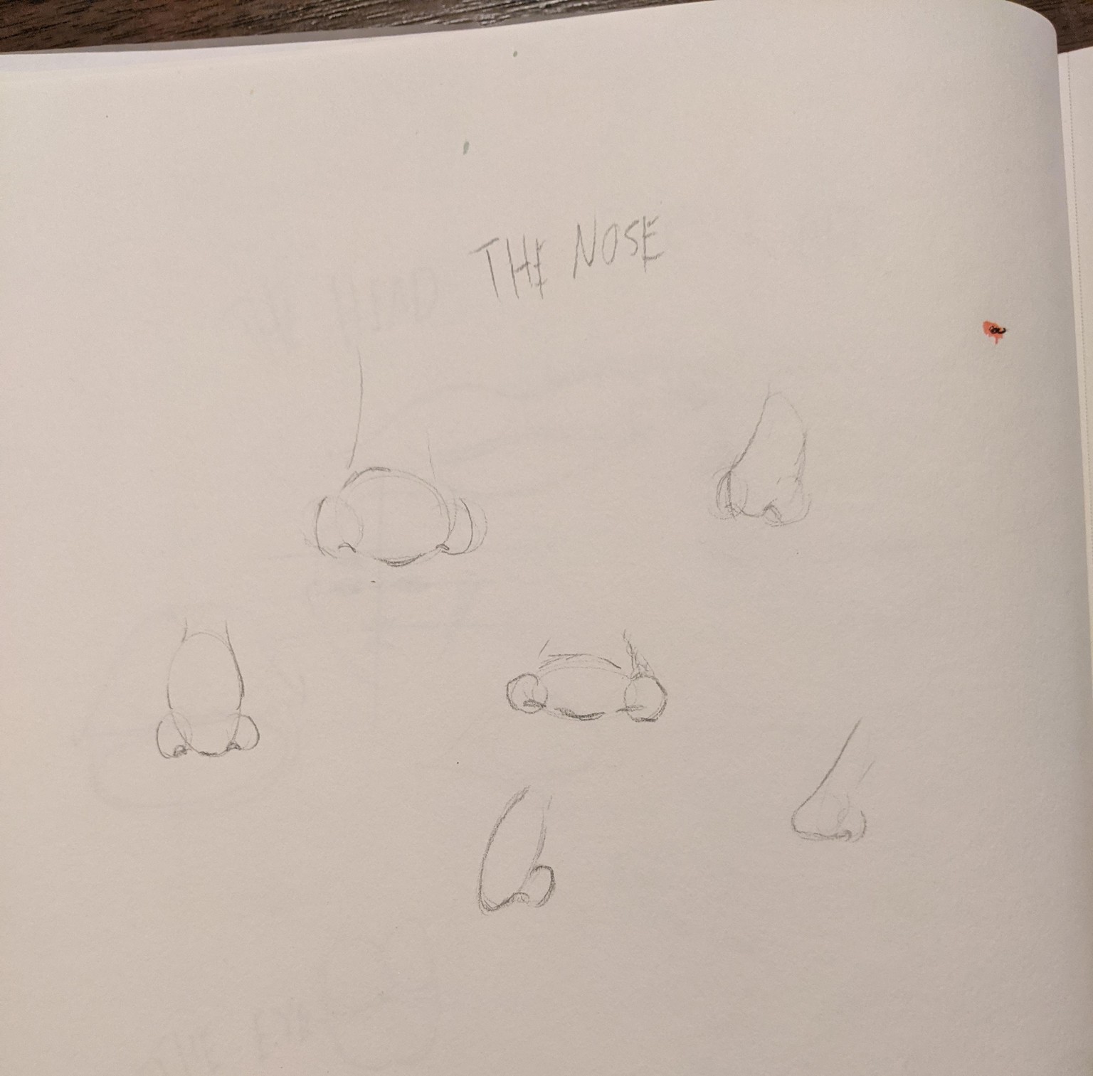 Draw Exaggerated Faces with Style - image 4 - student project