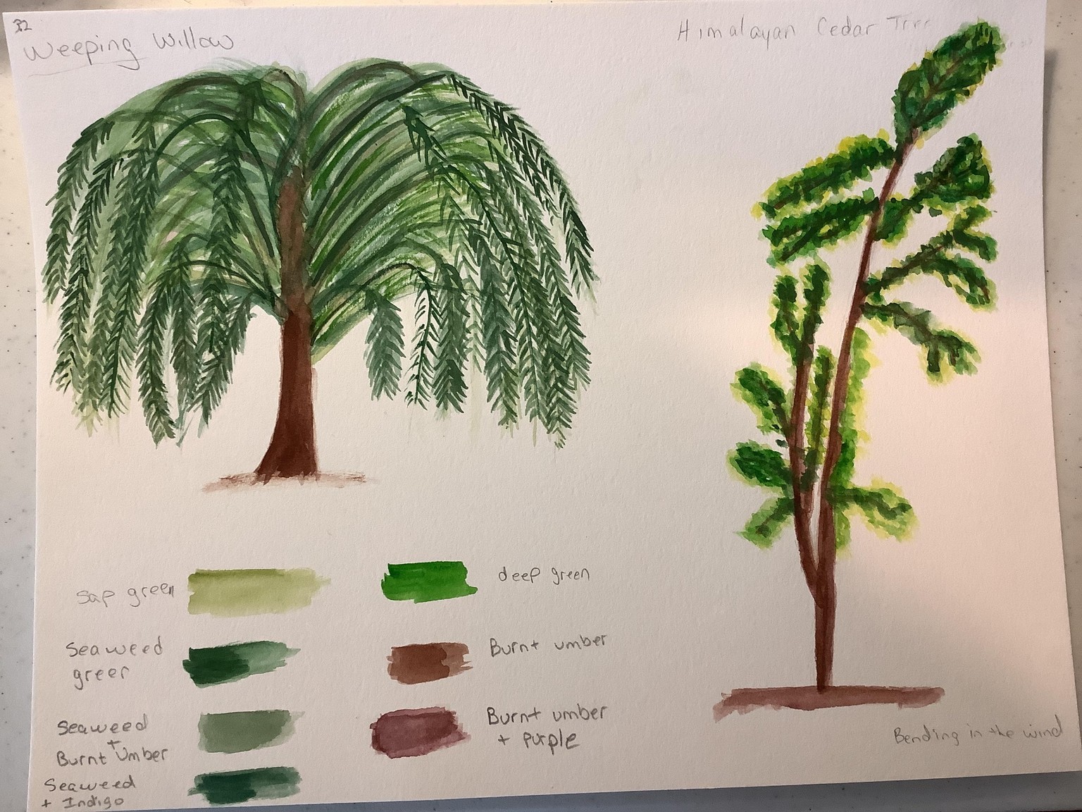 Many trees of nature - image 1 - student project