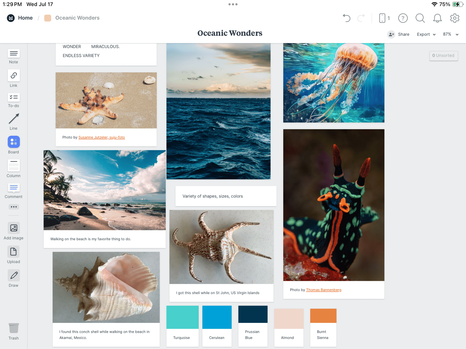 Oceanic wonders - image 3 - student project