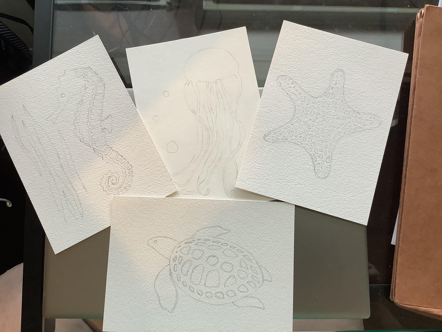 Oceanic wonders - image 1 - student project