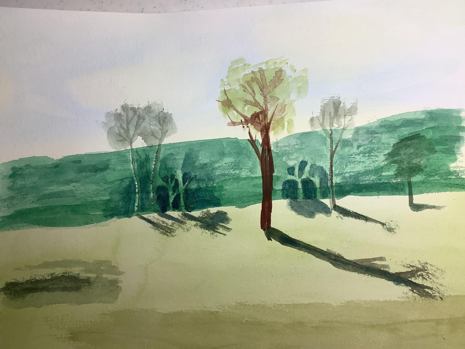 Negative space Birch Trees by Marla S - image 1 - student project