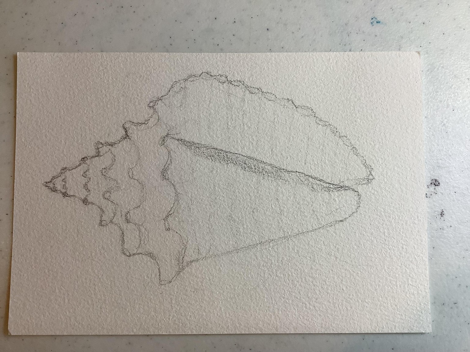 Oceanic wonders - image 2 - student project