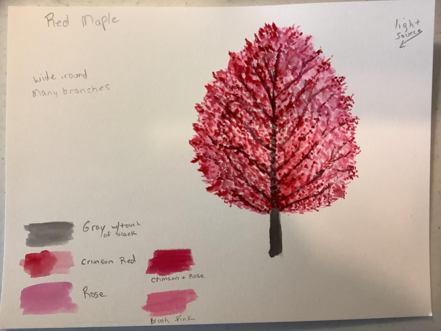 Many trees of nature - image 2 - student project