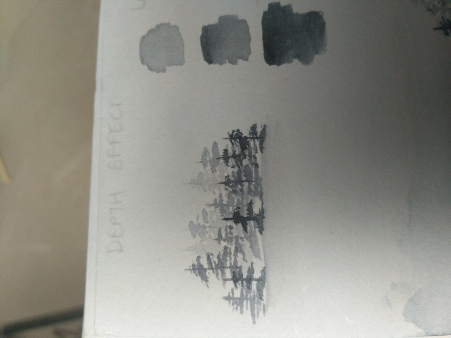 misty pines forest - image 3 - student project