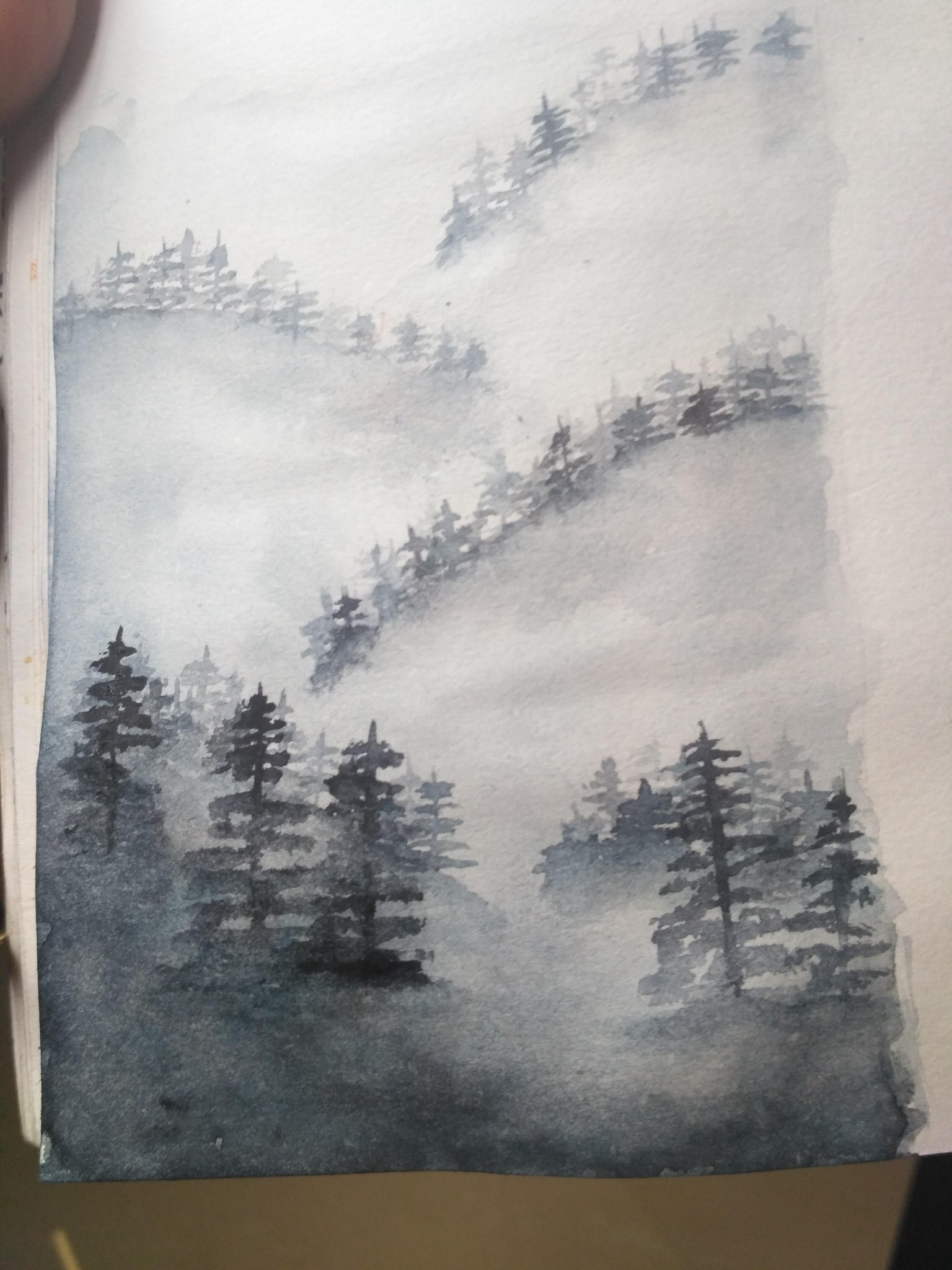 misty pines forest - image 1 - student project