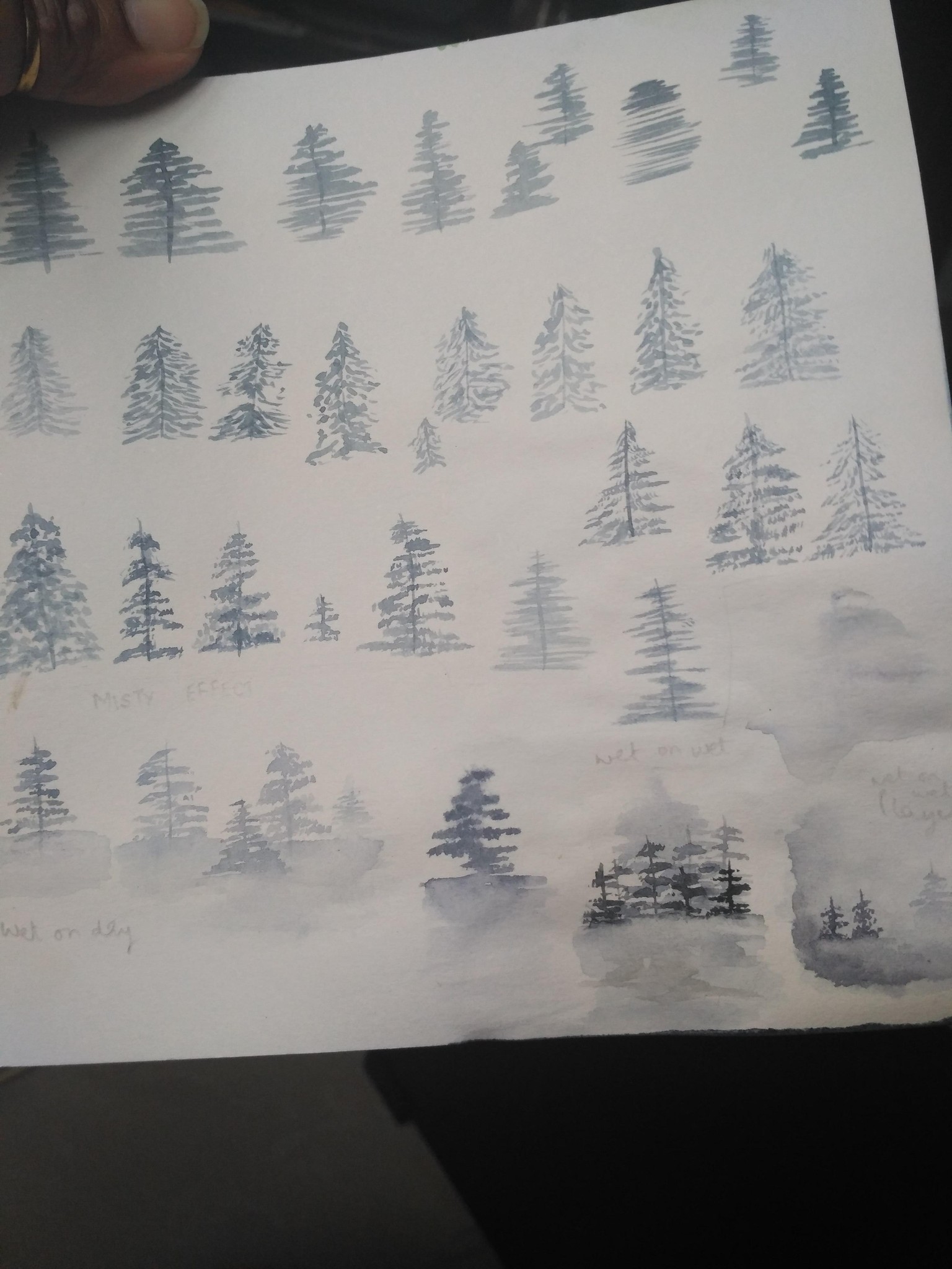 misty pines forest - image 2 - student project