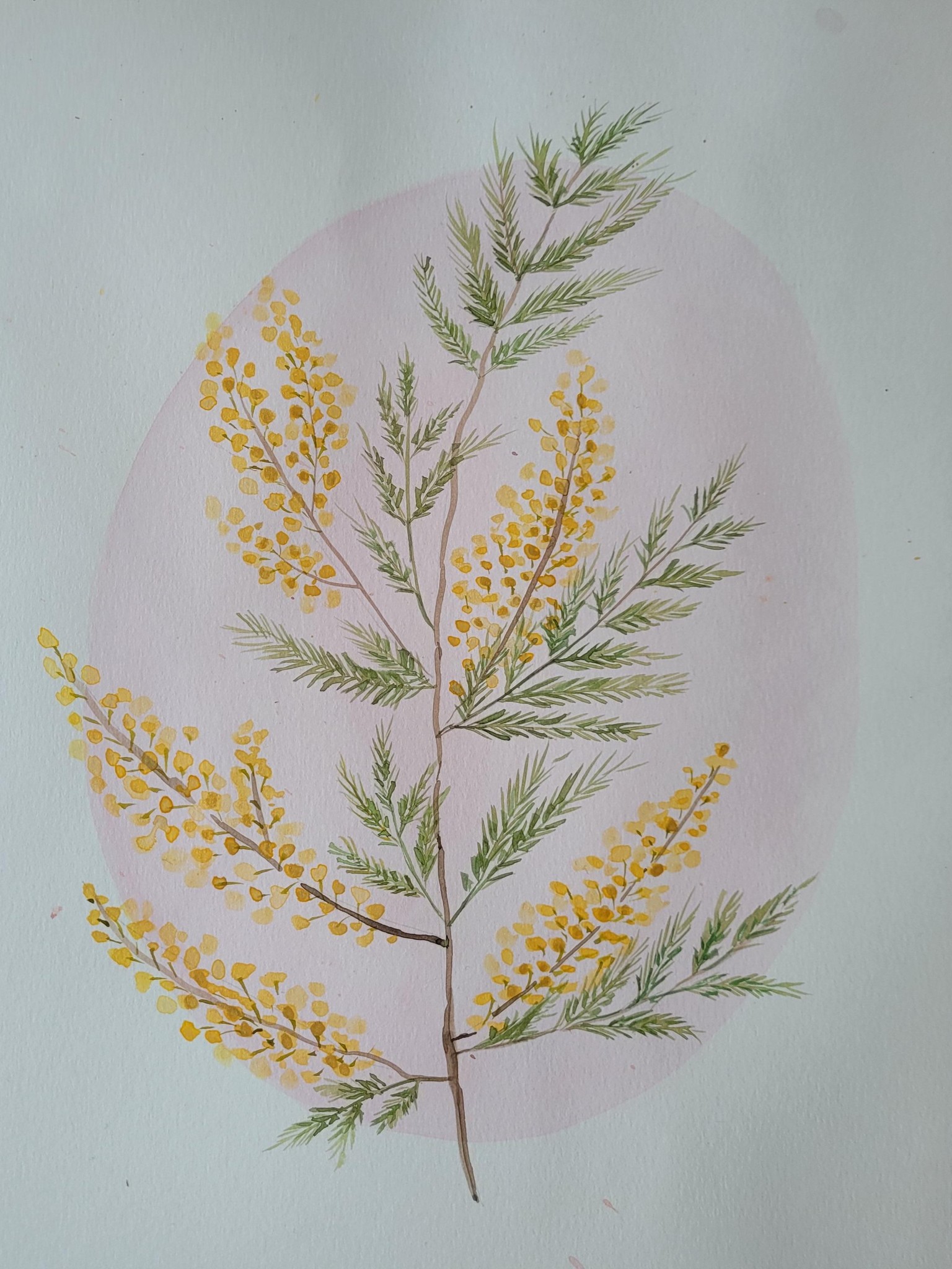 Vintage style flowers on coloured backgrounds - image 2 - student project