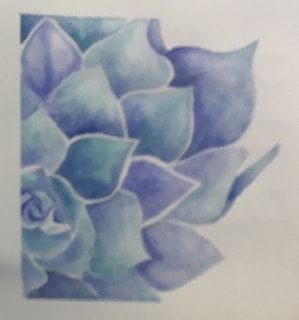 Succulent - image 1 - student project