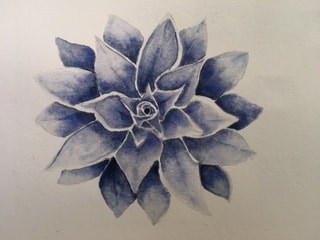 Succulent - image 2 - student project