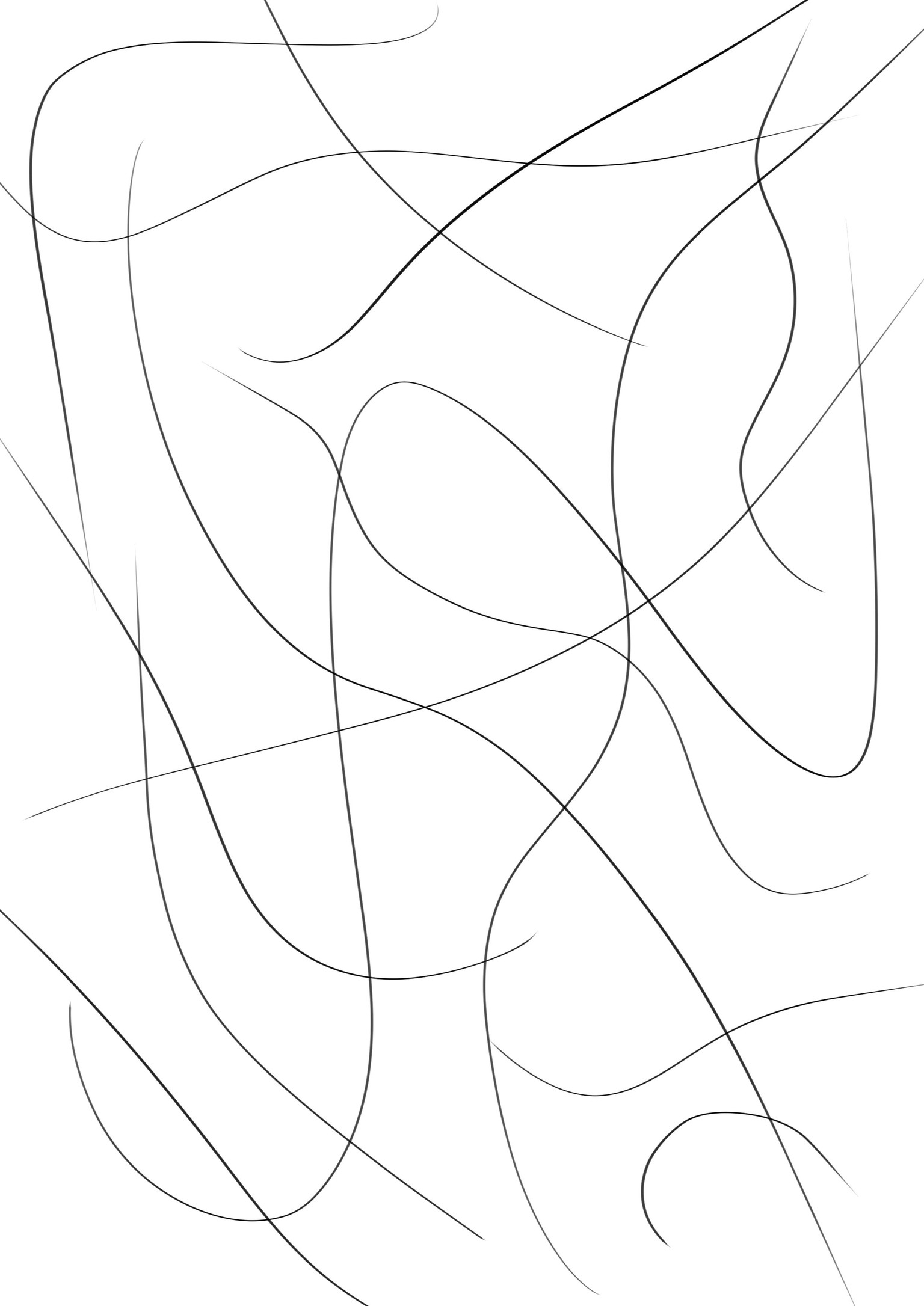 Woman of lines - image 1 - student project