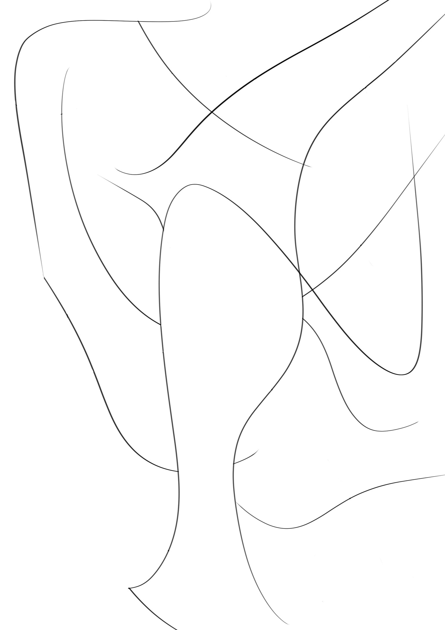 Woman of lines - image 2 - student project