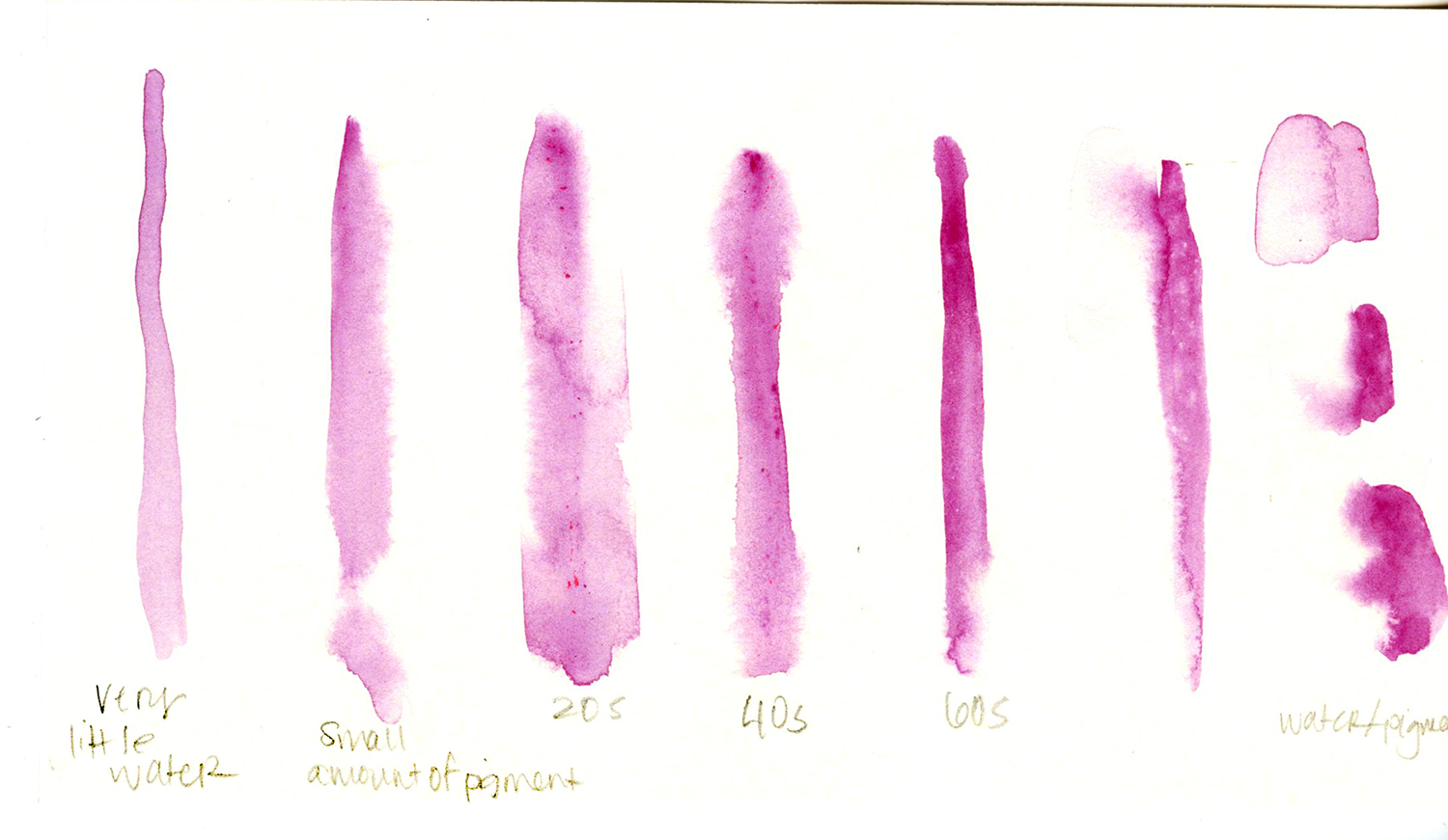 Experiments and a Salamander - image 2 - student project