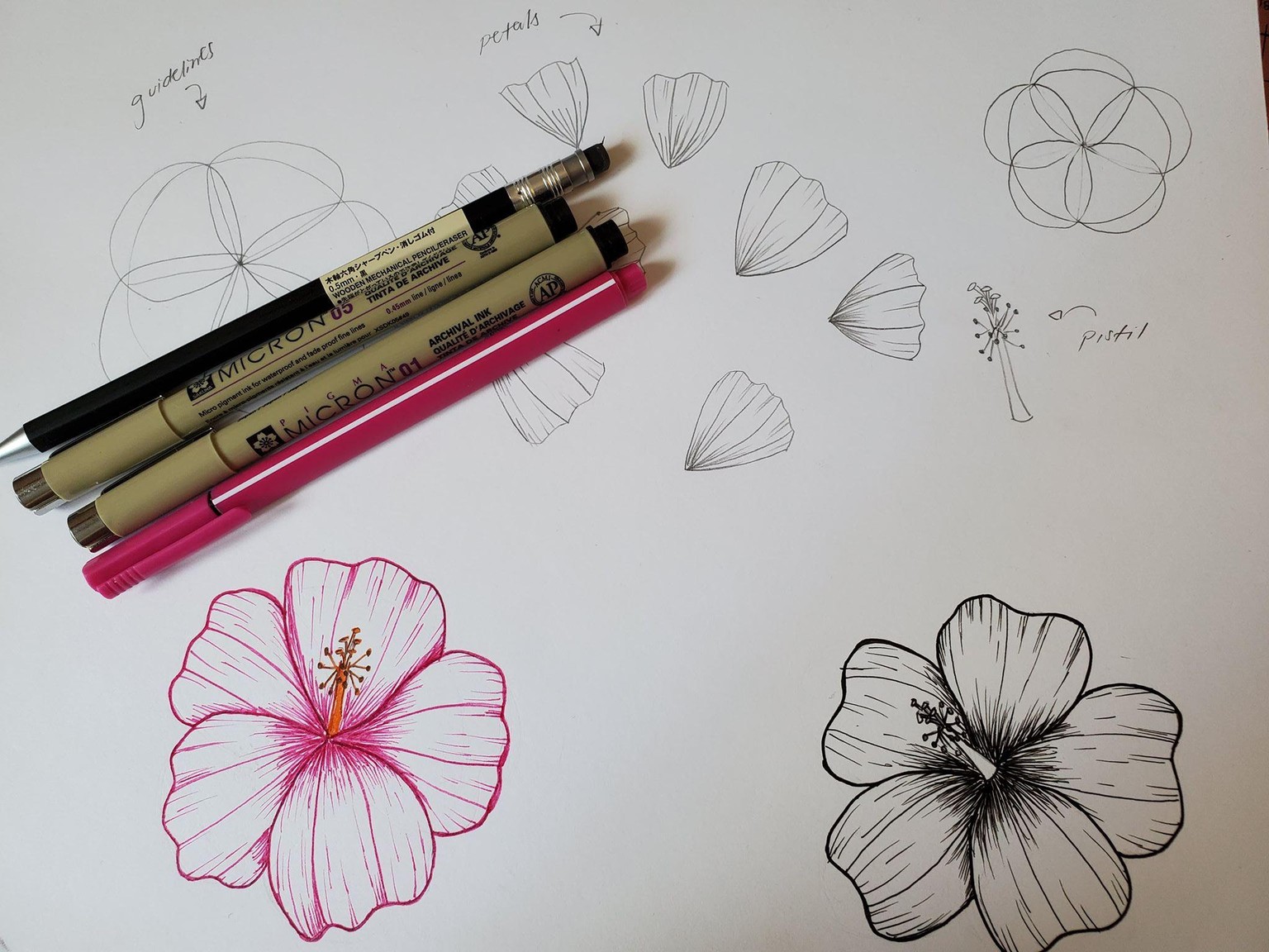 My Hibiscus - image 1 - student project