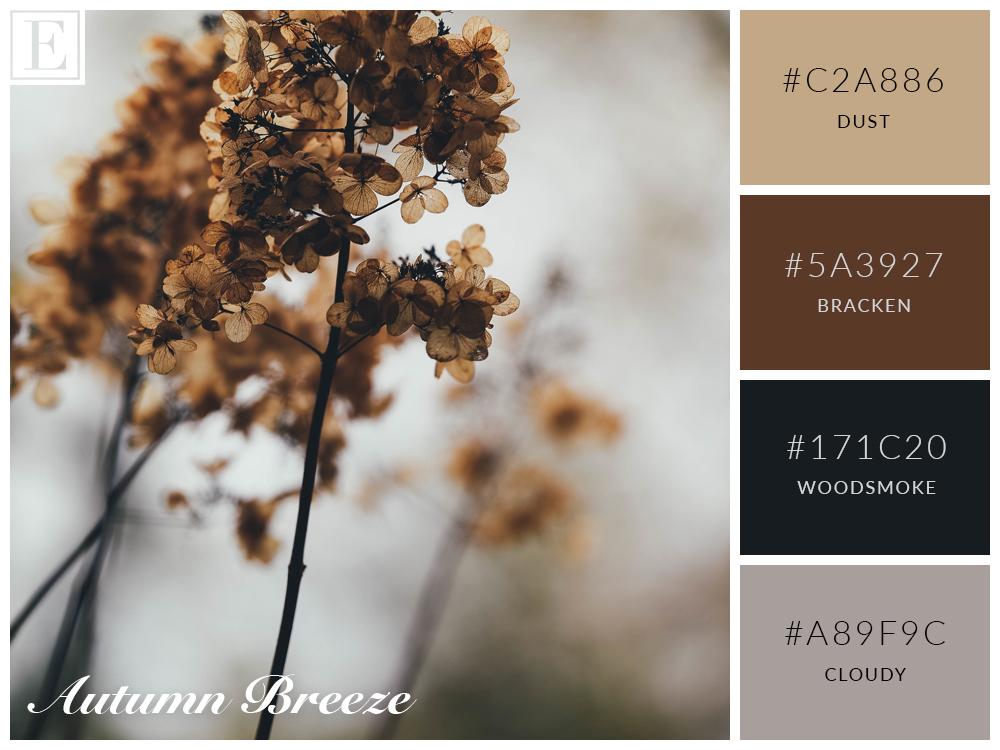Autumn Breeze Color Scheme - image 1 - student project