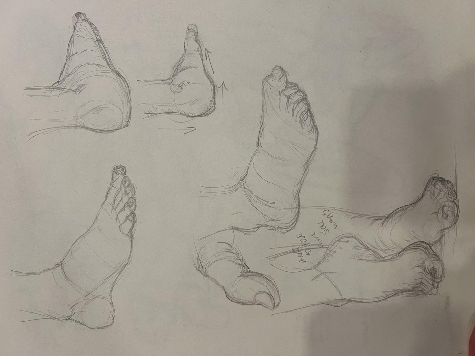 Brandi Feet Practice - image 1 - student project