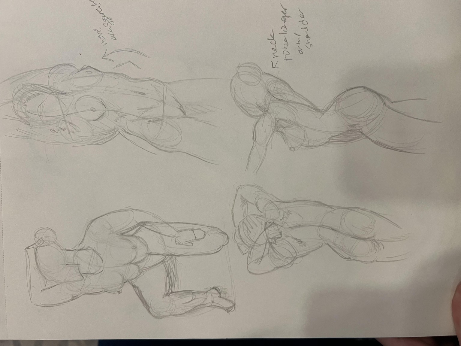 Brandi Torso Drawings - image 2 - student project