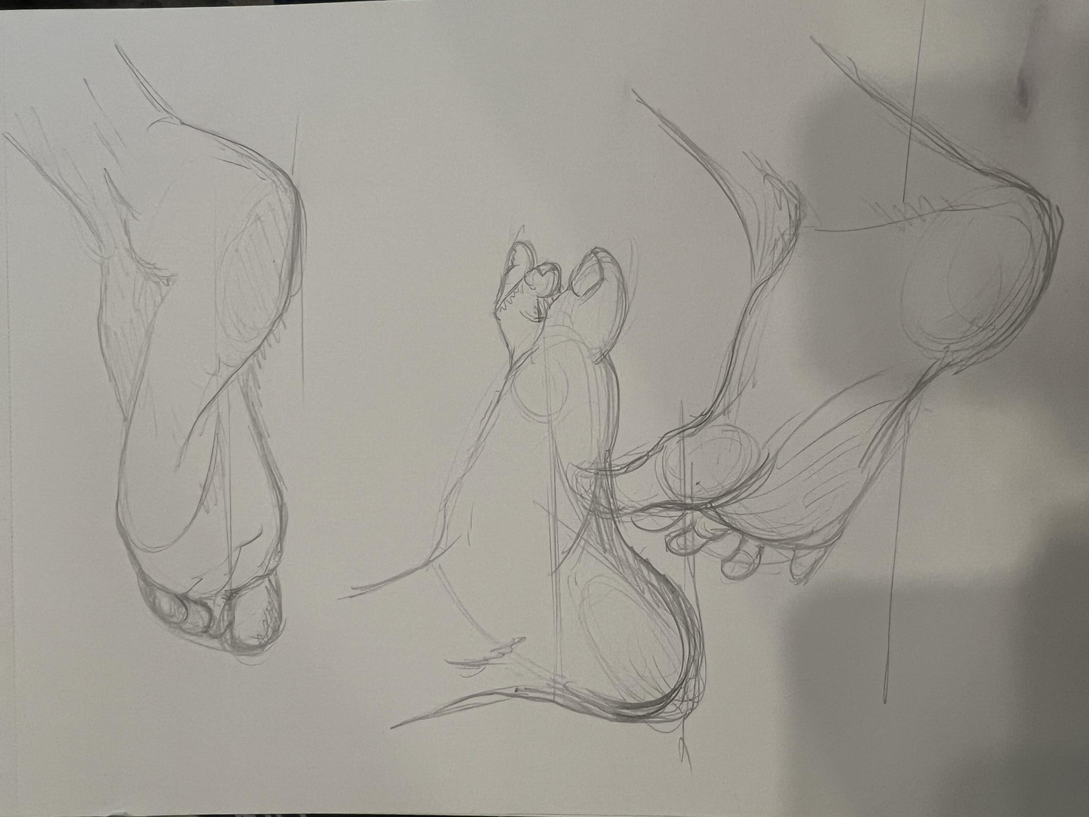 Brandi Feet Practice - image 4 - student project