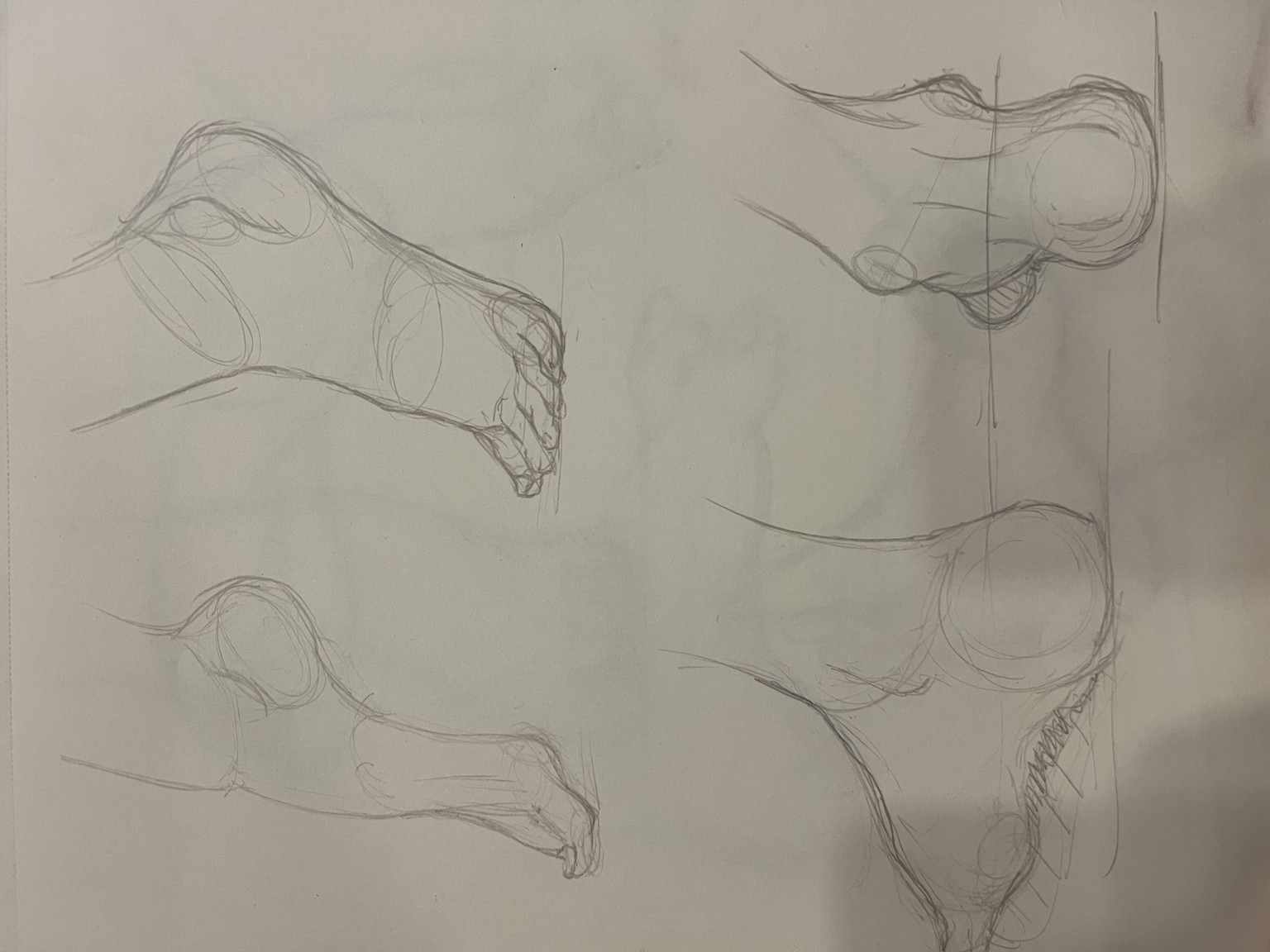 Brandi Feet Practice - image 3 - student project